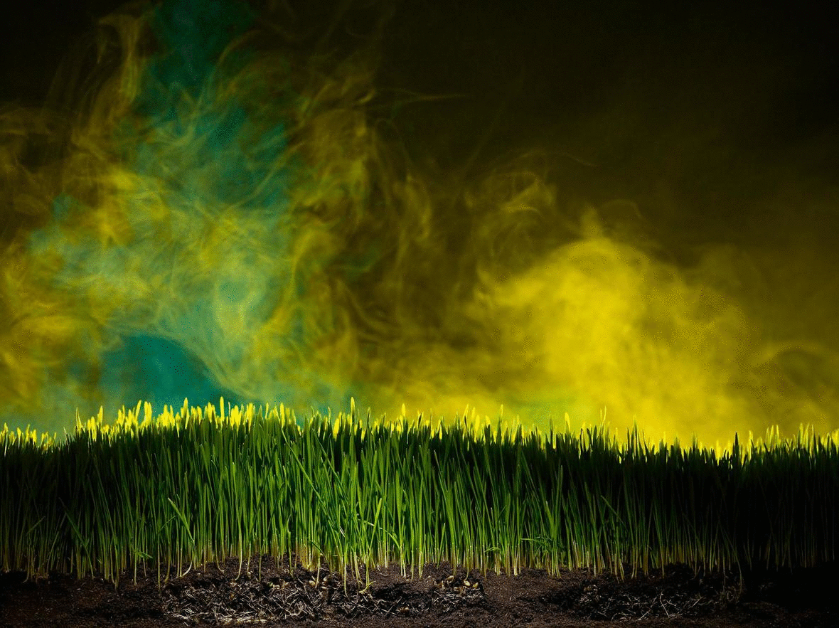002_grass_smoke_043_a_v11_redhawk_