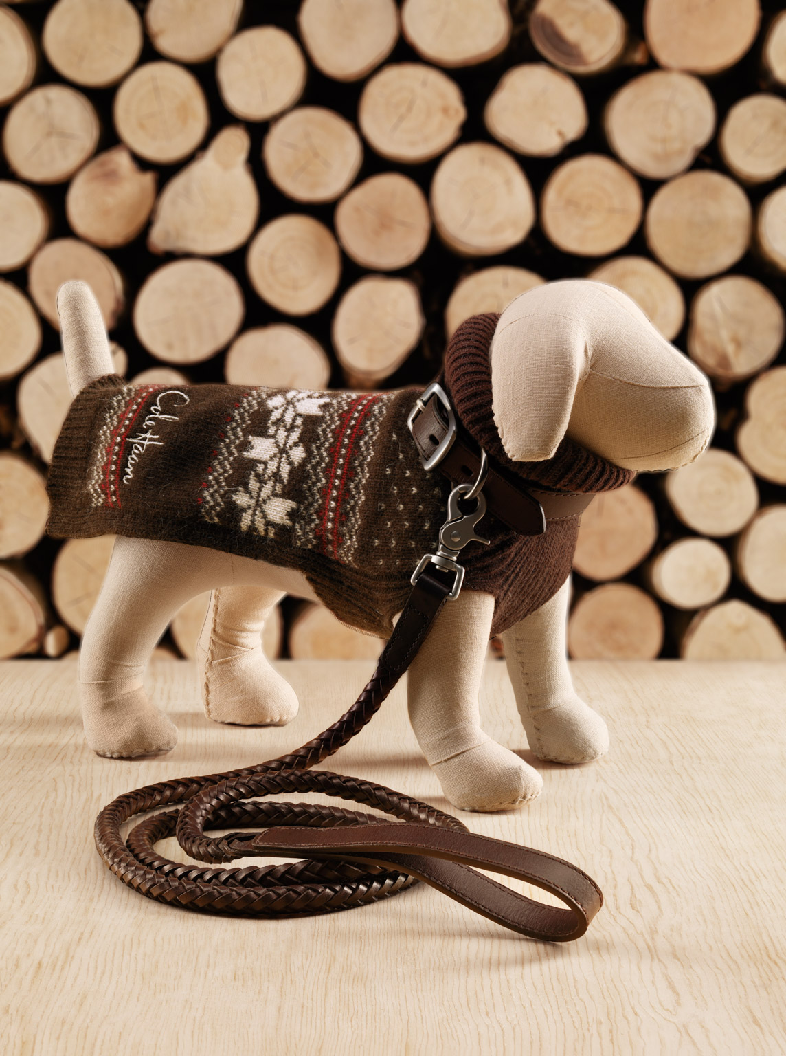 092_dog_022f