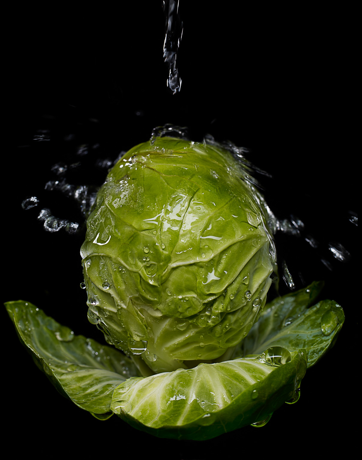 500_brussle_sprouts_100_150339703