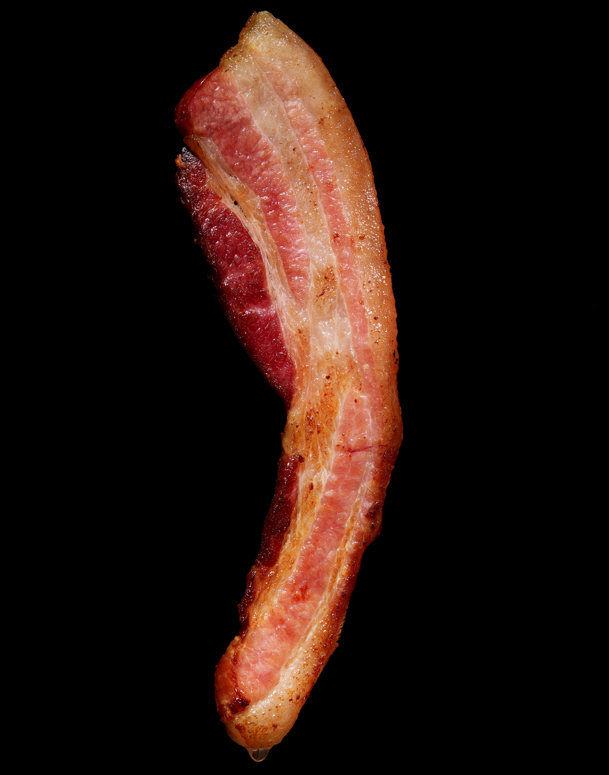 510_bacon_051